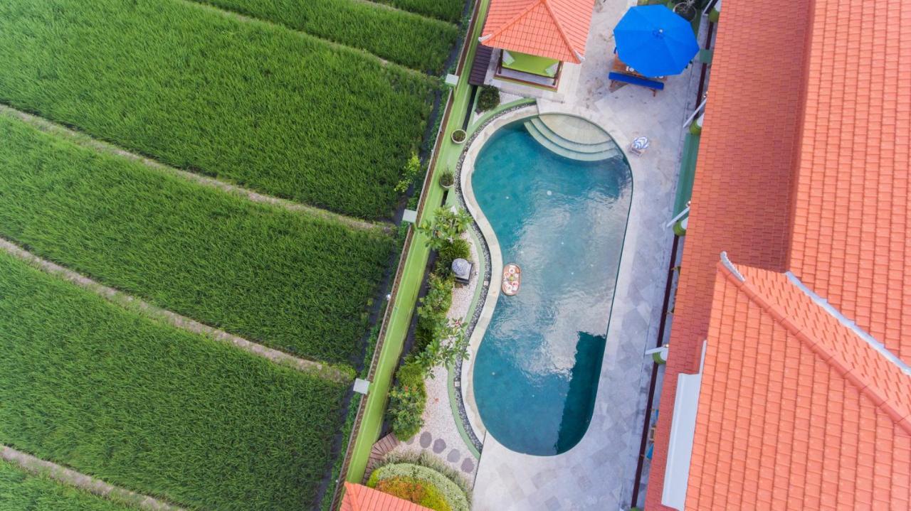Villa Padi Canggu Zewnętrze zdjęcie