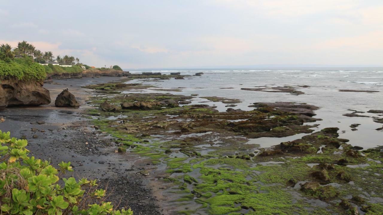 Villa Padi Canggu Zewnętrze zdjęcie
